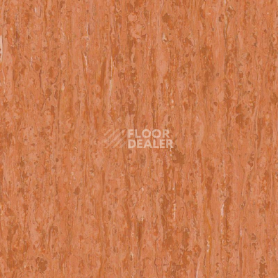 Линолеум Tarkett iq Optima Red Orange 0258 фото 1 | FLOORDEALER